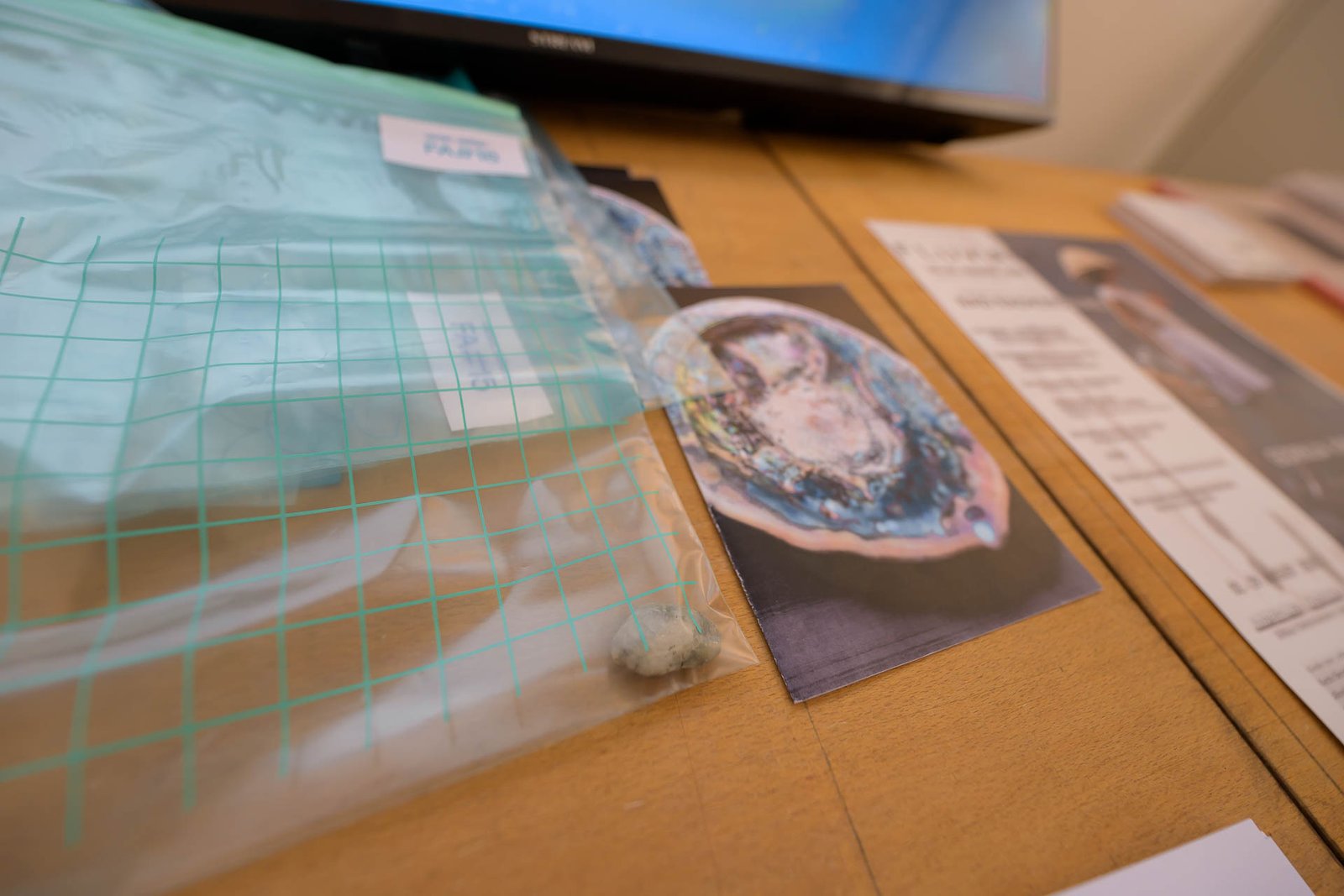 Fluviale – Along the Line: Bad Radkersburg (02.08.2025)