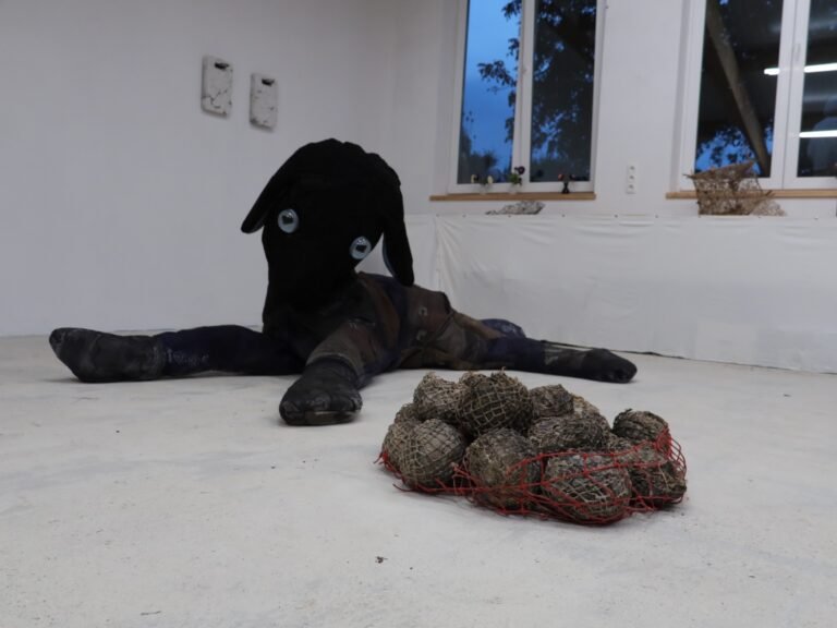 E. Windisch | Inside–Outside_KH_photo;sasha