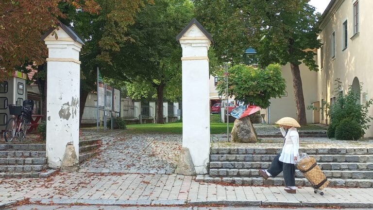 WhatsApp Image 2025-09-14 at 19.42.43