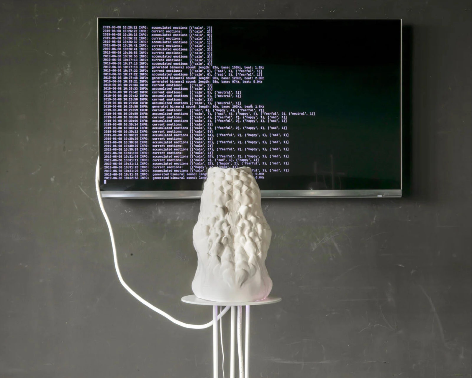 ARBORA project by Tanja Vujinović, FLUVIALE Artist