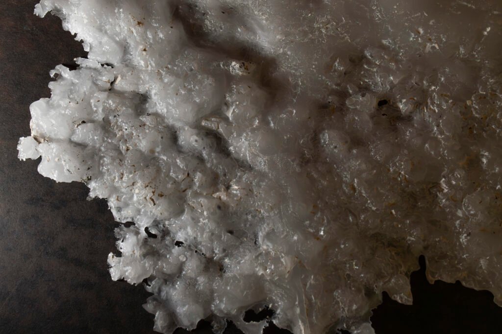 Holobiont / Olobionte project by Teodoro Agricola, FLUVIALE artist