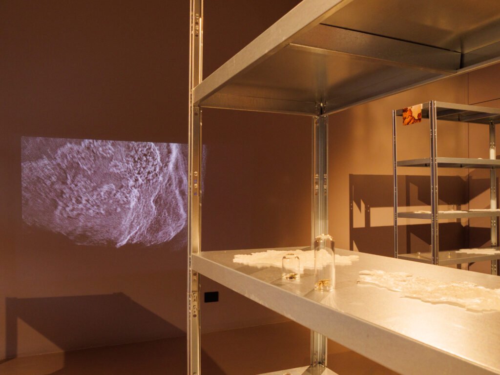 Holobiont / Olobionte project by Teodoro Agricola, FLUVIALE artist
